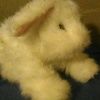 plushbunny